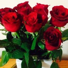 Thankful for these things, red roses, cheaper from Aldi