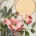 Alberta Rose , native flower of Alberta, vitamin C, vitamin haltig, rose hip , herbalist, natural Winter remedies, doTERRA , natural oils, alternative medicine,